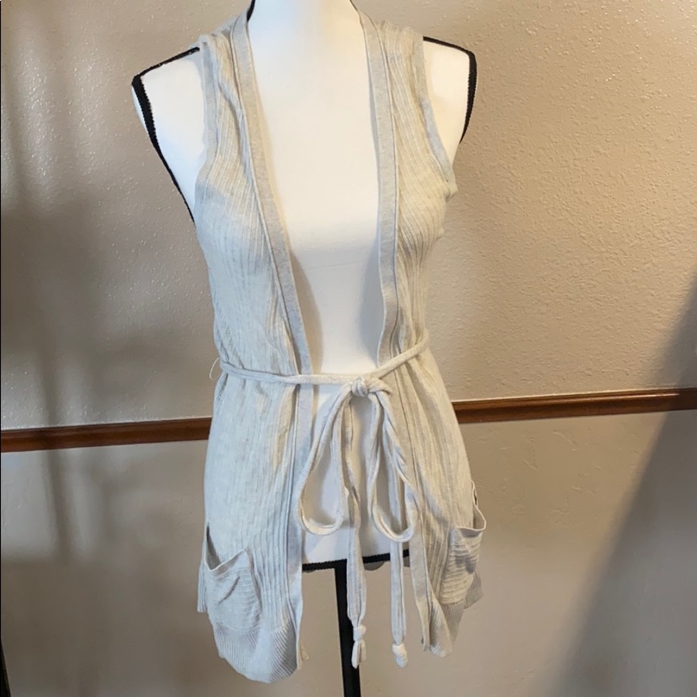 Hollister alight Gray Sweater Vest